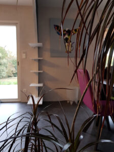 Design d’intérieur à Montans