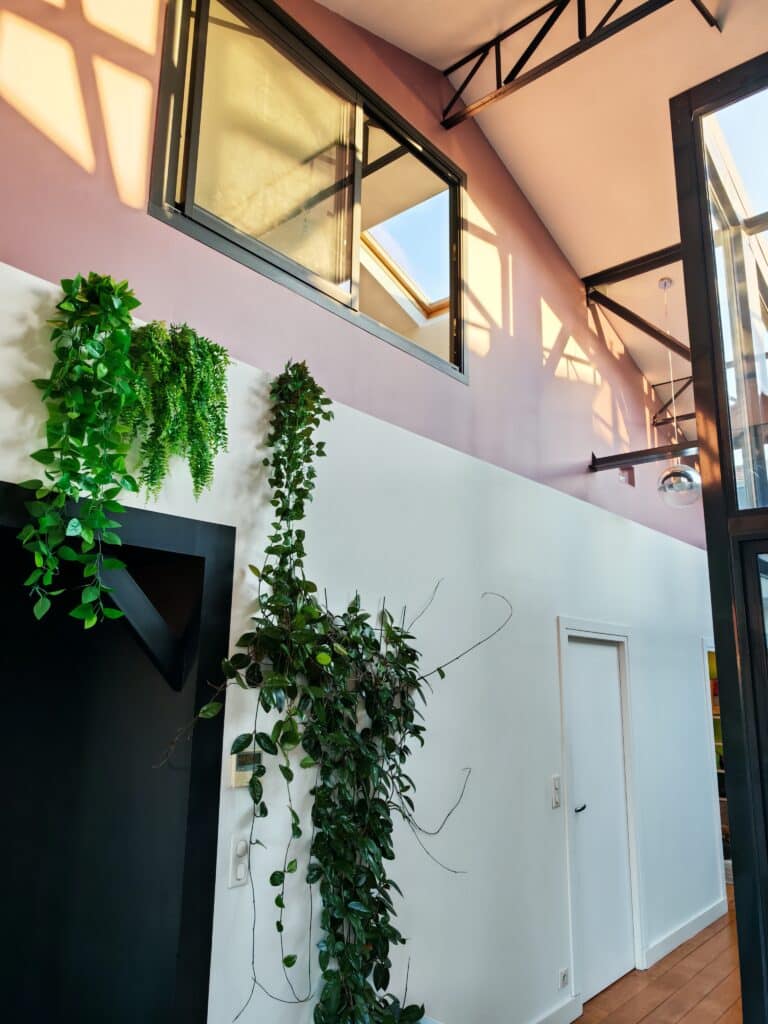Intérieur de loft moderne. Mur bicolore rose et blanc avec plantes grimpantes. Fenêtre haute projetant des ombres géométriques chaudes.